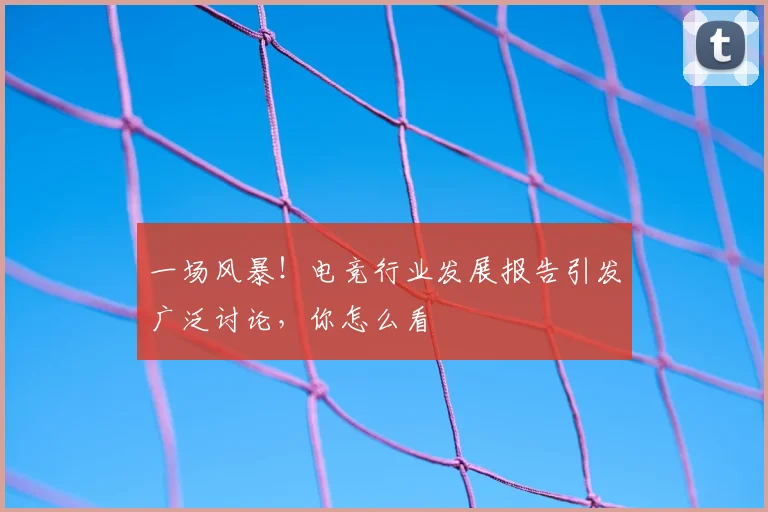 一场风暴！电竞行业发展报告引发广泛讨论，你怎么看
