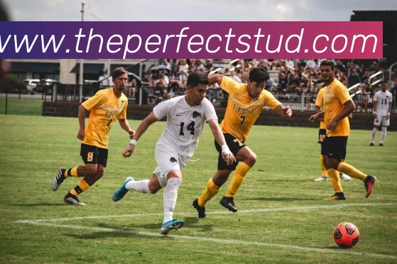 奖项1